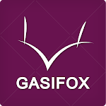 Cover Image of ดาวน์โหลด 가시여우 - gasifox  APK