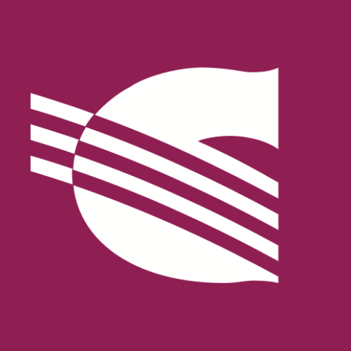 СолидБанк. Денежные переводы logo