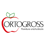 Cover Image of 下载 OrtoGross  APK