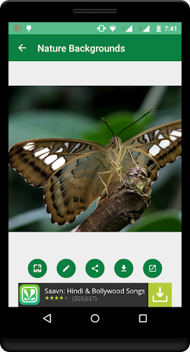 Nature Backgrounds HD