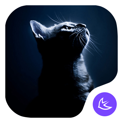 QUIET CAT-APUS Launcher theme  Icon