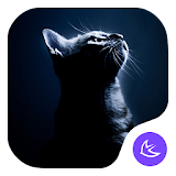 QUIET CAT-APUS Launcher theme icon