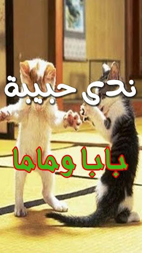 ندى روح البابا فيديوهات دون نت