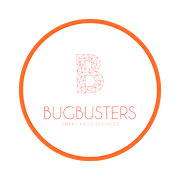 Bugbusters D4  Icon