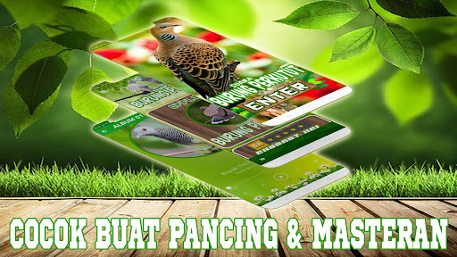 Suara Burung Perkutut Offline Screen 2