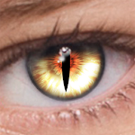 Cover Image of Download FoxEyes - Change Eye Color  APK