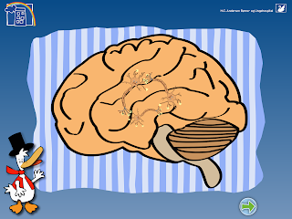 HC And - Epilepsi - Screenshot 2