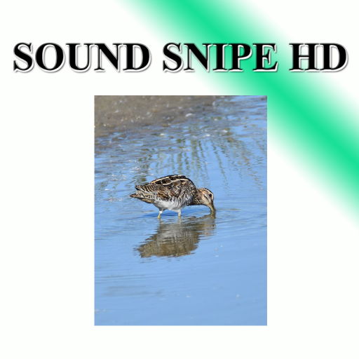 Snipe sounds to birds. Header - AppWisp.com