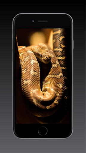 Android application Snake Wallpaper HD, GIF screenshort