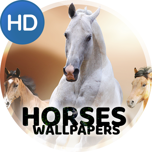 Wallpapers 4K with horses  Icon