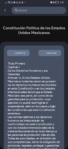 Compendio de Leyes Penales Screen 2