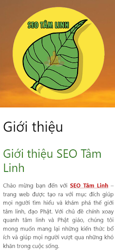 SEO Tâm Linh Screen 2
