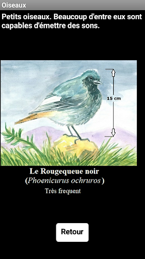 Oiseaux de Costa da Morte Screen 2