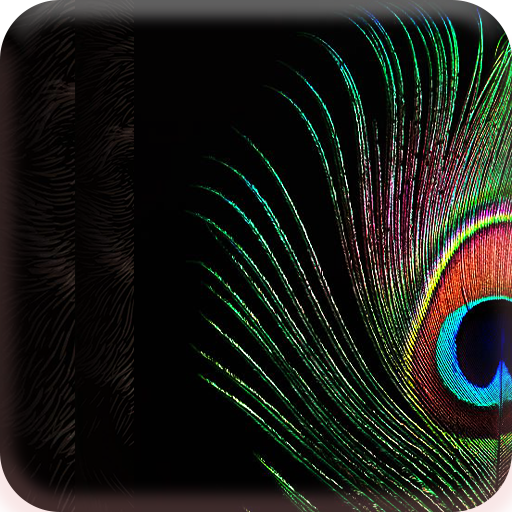 Bulu Merak Indah Wallpaper logo