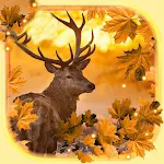 Cover Image of Tải xuống Autumn Animals Live Wallpaper  APK