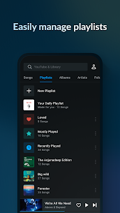 Music Player & MP3 Player – Lark Player Mod Apk (VIP) 3