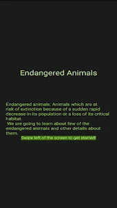 Endangered Animals by Truong