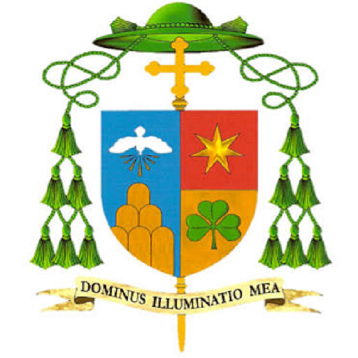 Ondo Catholic Schools logo