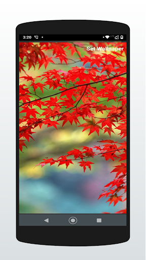 Wallpaper Changer Screen 2