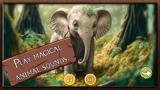 Sounds of the Magic Forest