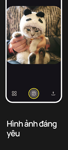 Meow App