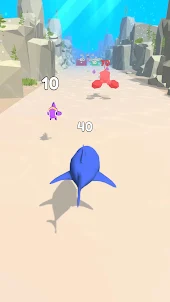 Shark Evolution!