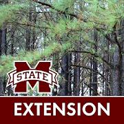 Top 36 Education Apps Like MSUES Guide to Thinning Southern Pines - Best Alternatives