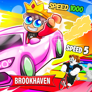 Brookhaven rp race
