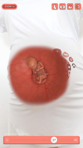 Android application Welcome baby screenshort