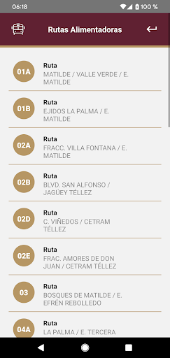 Tuzobús screenshot 5