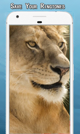 Lion Sounds Ringtone Screen 3