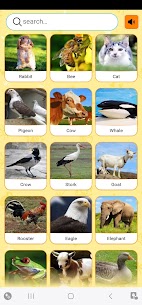 Real Animal sounds 1