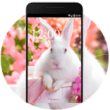 Cute Rabbit Wallpaper HD icon