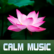 Top 40 Music & Audio Apps Like ZEN Calm Music Radios - Best Alternatives