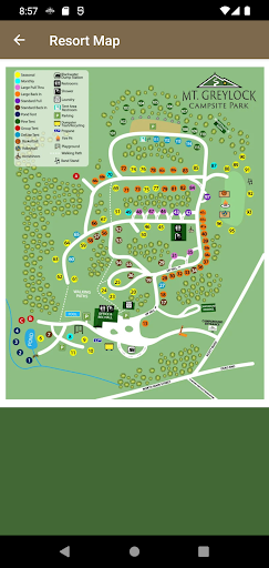 Mt Greylock Campsite Park Screen 3