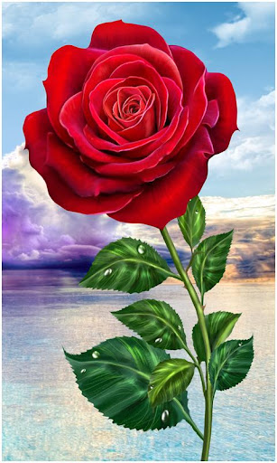 All Flowers Photo Frames Screen 2