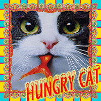 Cute hungry cat