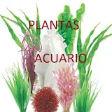 Plantas Acuario icon
