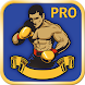Learn boxing training