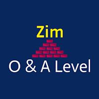 Zimsec papers