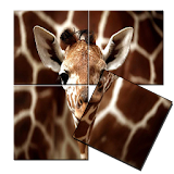 Giraffe Puzzle Game icon