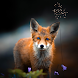 Fox Wallpapers - Androidアプリ