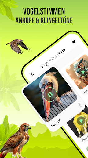 App-Vorschau