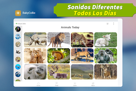 Captura 9 Animal Mágico: ¡180 Sonidos de android