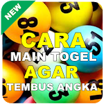Cover Image of Unduh Cara Jitu Main Togel Selalu Menang 7.7 APK