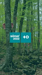 Sónar+D Networking App