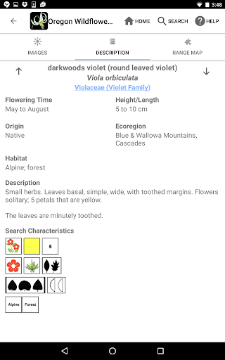 Screenshot of Oregon Wildflowers