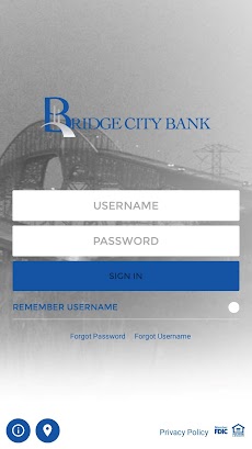Bridge City State Bankのおすすめ画像1