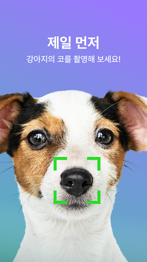 KYP: 반려동물 비문 인식 솔루션 Screen 2