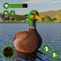 Семейная SIM-карта Ultimate Duck